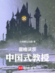 霍格沃茨：中国式教授